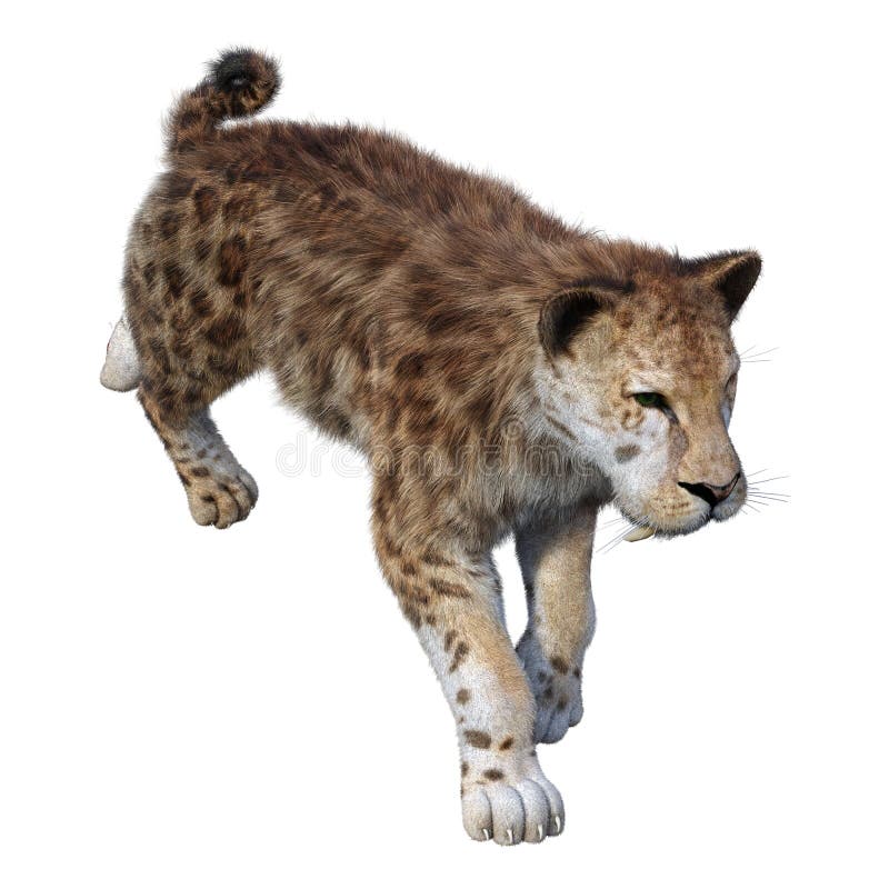 3d απόδοση τίγρης sabertooth σε λευκό απεικόνιση αποθεμάτων
