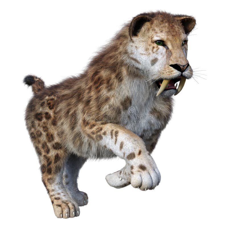 3d απόδοση τίγρης sabertooth σε λευκό απεικόνιση αποθεμάτων