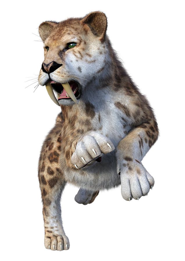 3d απόδοση τίγρης sabertooth σε λευκό ελεύθερη απεικόνιση δικαιώματος