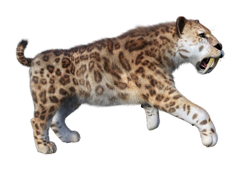 3d απόδοση τίγρης sabertooth σε λευκό διανυσματική απεικόνιση