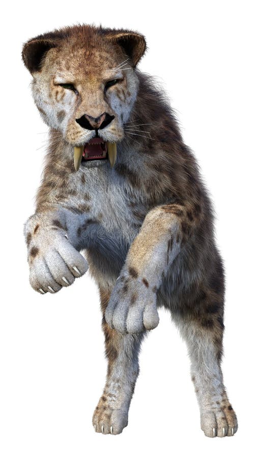 3d απόδοση τίγρης sabertooth σε λευκό απεικόνιση αποθεμάτων