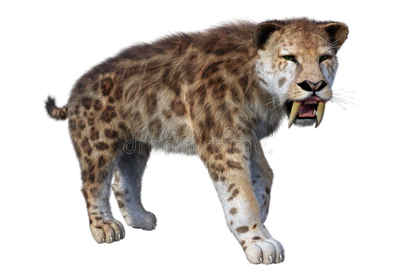 3d απόδοση τίγρης sabertooth σε λευκό ελεύθερη απεικόνιση δικαιώματος