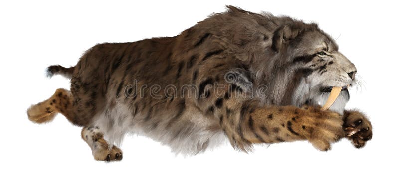 3d απόδοση τίγρης sabertooth σε λευκό απεικόνιση αποθεμάτων