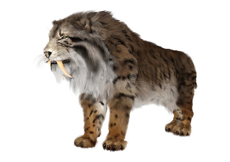 3d απόδοση τίγρης sabertooth σε λευκό απεικόνιση αποθεμάτων