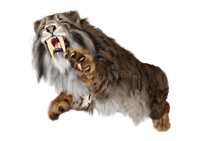 3d απόδοση τίγρης sabertooth σε λευκό απεικόνιση αποθεμάτων