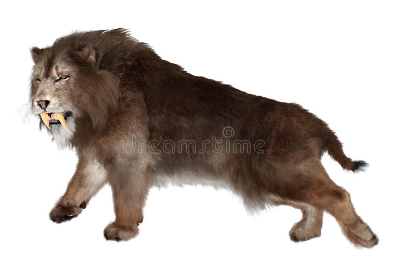 3D απόδοση τίγρης Sabertooth σε λευκό απεικόνιση αποθεμάτων