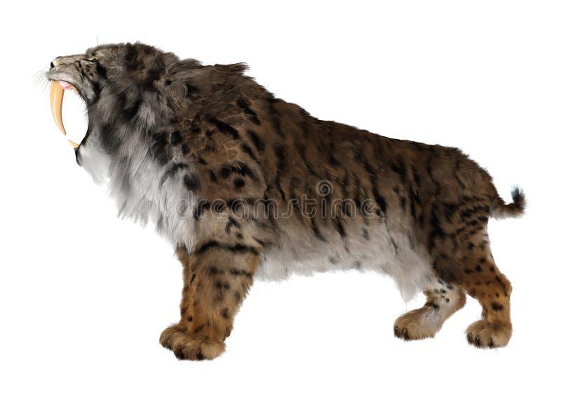 3d απόδοση τίγρης sabertooth σε λευκό διανυσματική απεικόνιση