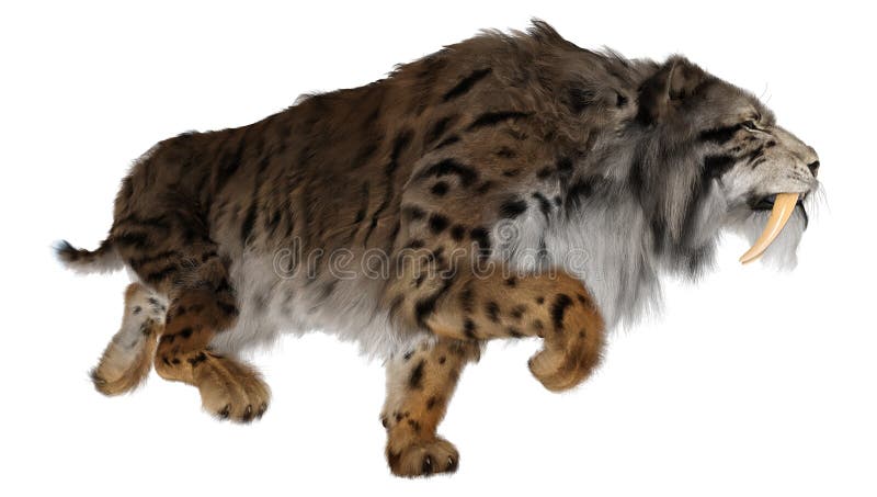 3d απόδοση τίγρης sabertooth σε λευκό ελεύθερη απεικόνιση δικαιώματος