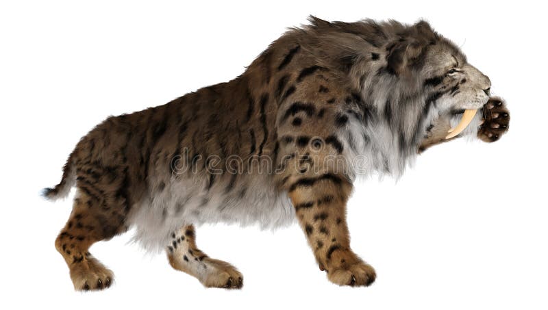 3d απόδοση τίγρης sabertooth σε λευκό απεικόνιση αποθεμάτων