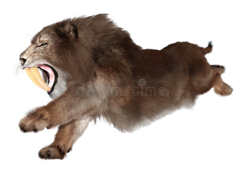 3d απόδοση τίγρης sabertooth σε λευκό ελεύθερη απεικόνιση δικαιώματος