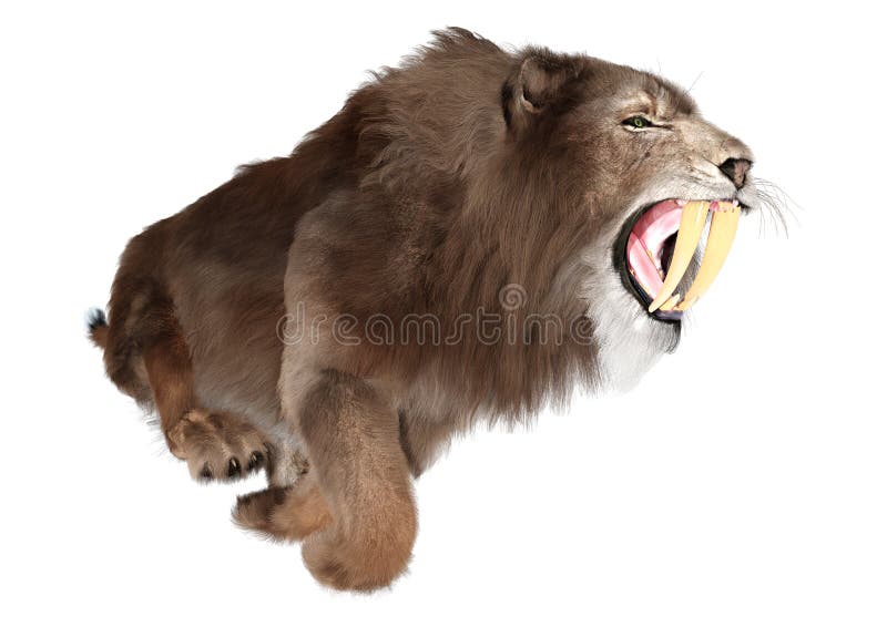 3d απόδοση τίγρης sabertooth σε λευκό ελεύθερη απεικόνιση δικαιώματος