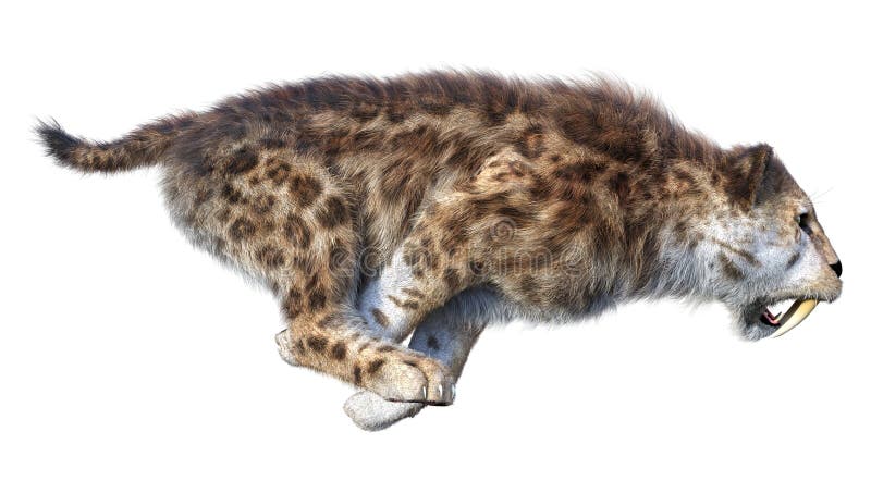 3d απόδοση τίγρης sabertooth σε λευκό διανυσματική απεικόνιση