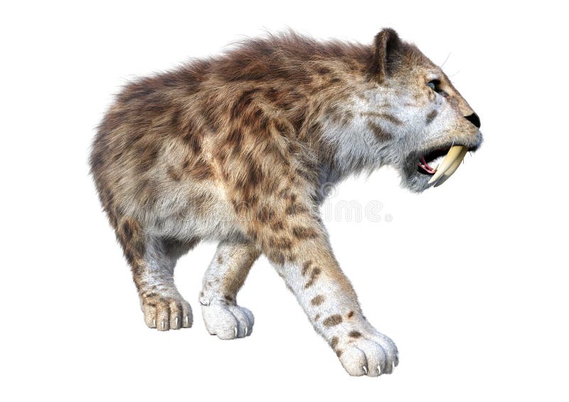 3d απόδοση τίγρης sabertooth σε λευκό απεικόνιση αποθεμάτων