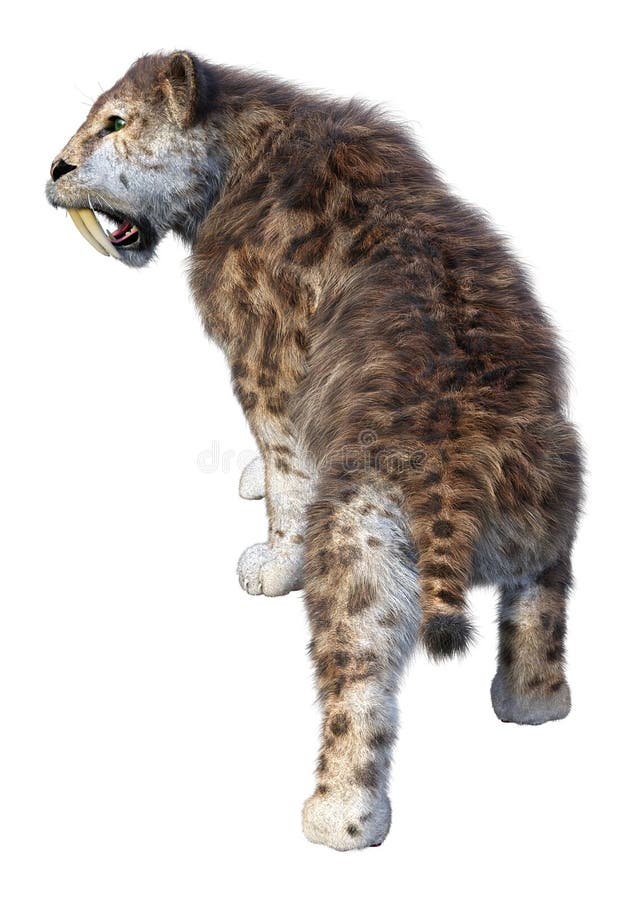 3d απόδοση τίγρης sabertooth σε λευκό απεικόνιση αποθεμάτων