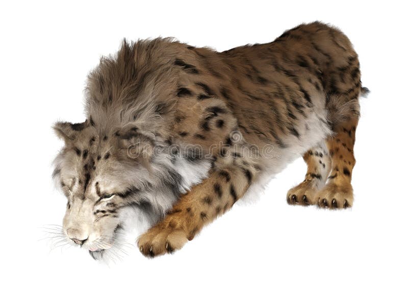 3d απόδοση τίγρης sabertooth σε λευκό. 3d απόδοση τίγρης sabertooth απομονωμένης σε λευκό φόντο