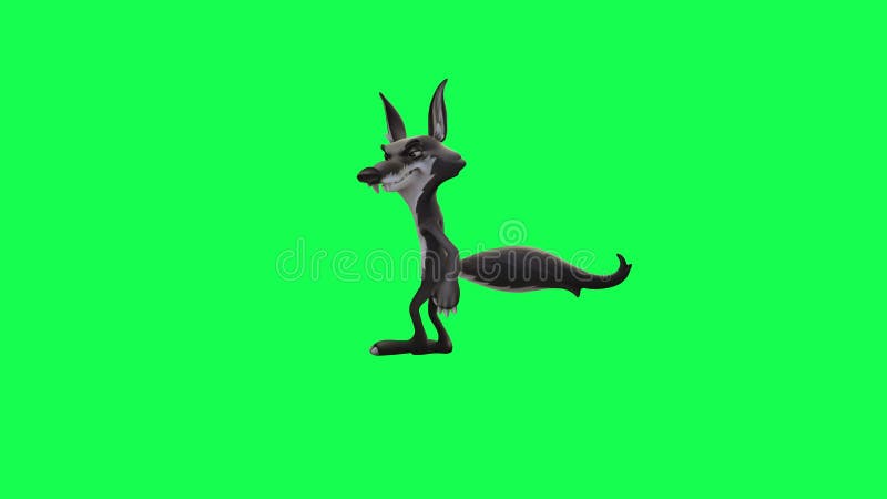 3d анимация волка-мультфильма, идущего и искажающего на зеленом экране иллюстрация штока