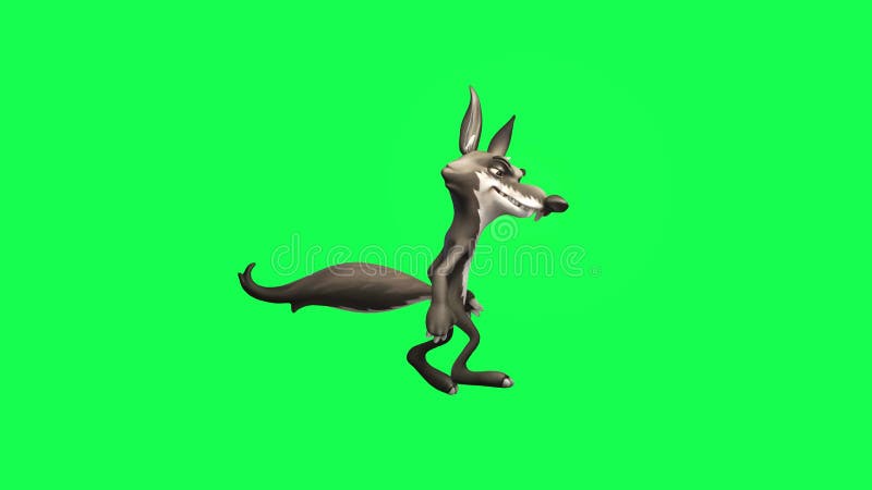 3d анимация волка мультфильма на зеленом экране ходящего и входящего и ватчи иллюстрация штока