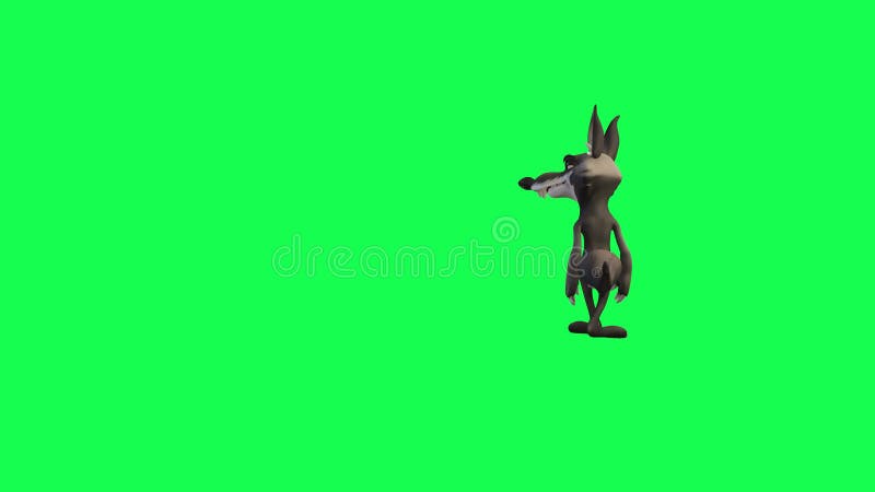 3d мультфильм о волке на зелёном экране размышляет, ходит и ищет бесплатная иллюстрация