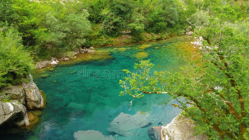Da garganta tranquilo do rio de Mrtvica beleza selvagem de Montenegro Lan da natureza imagem de stock Da garganta tranquilo do rio de Mrtvica beleza selvagem de Montenegro Lan da natureza imagem de stock