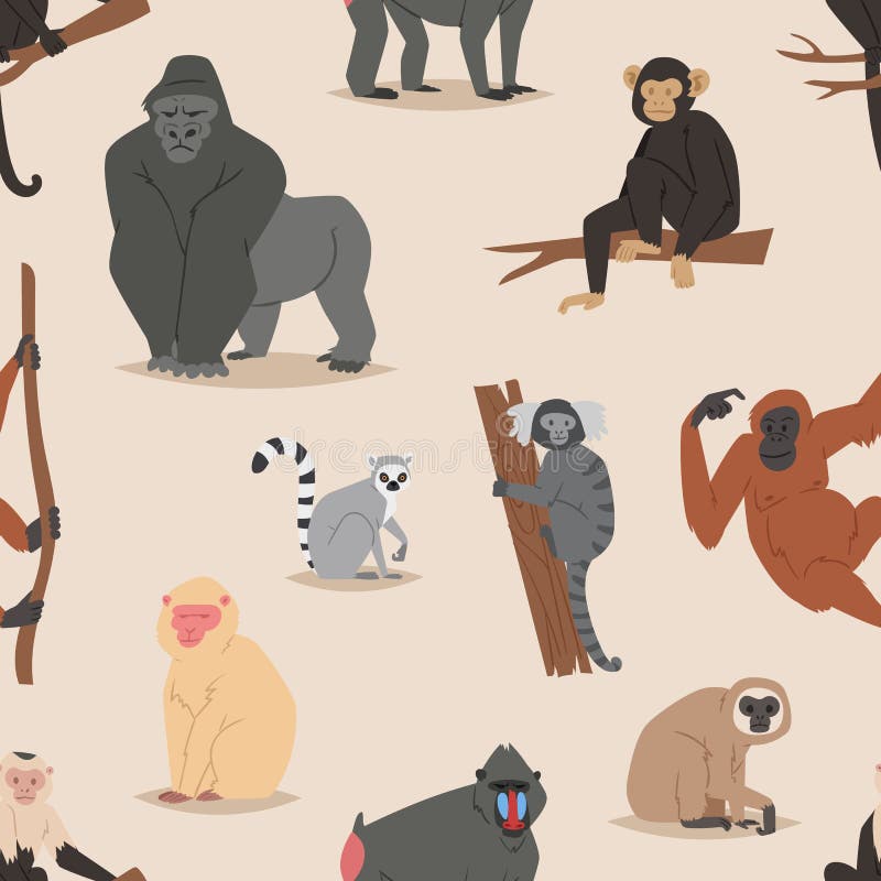 Diferentes Pães Macaco Personagem Animal Selvagem Zoológico Macaco Chimpanzé  Ilustração Vetorial. Royalty Free SVG, Cliparts, Vetores, e Ilustrações  Stock. Image 77468899