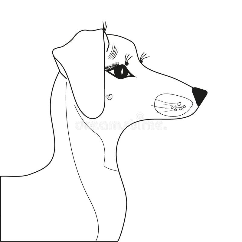 Dog Face Profile Drawing