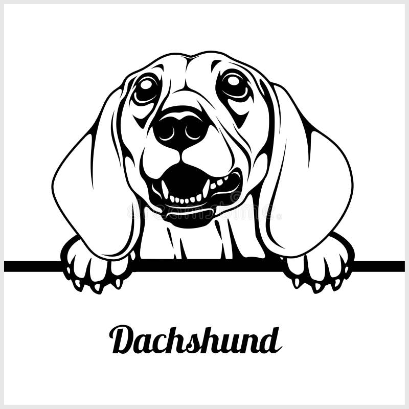 Featured image of post Dachshund Clipart Face Download in under 30 seconds