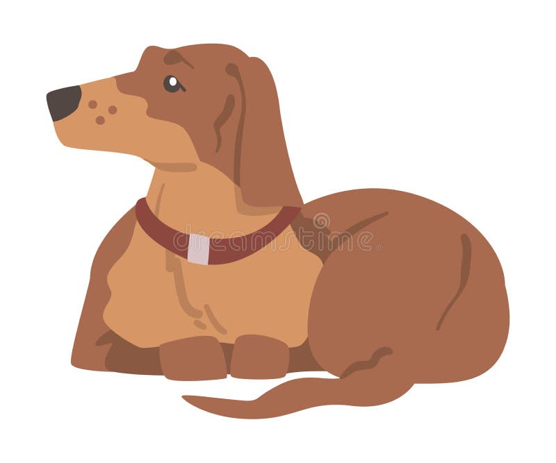 Dachshund ή badger σκύλος ως λαγωνικό και μακρόκαρπο κυνηγόσκυλο με οργανική απεικόνιση διανυσματική απεικόνιση