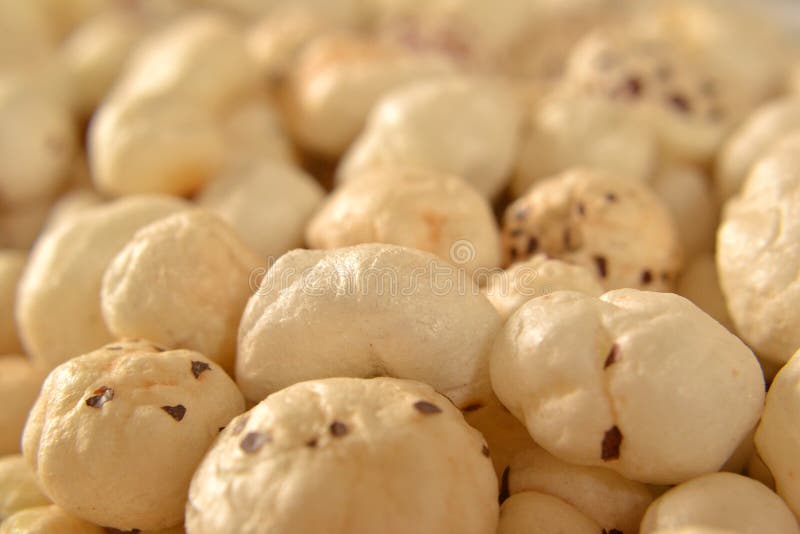Dado Lotus Seeds Close Uo di Fox fotografia stock Dado Lotus Seeds Close Uo di Fox fotografia stock