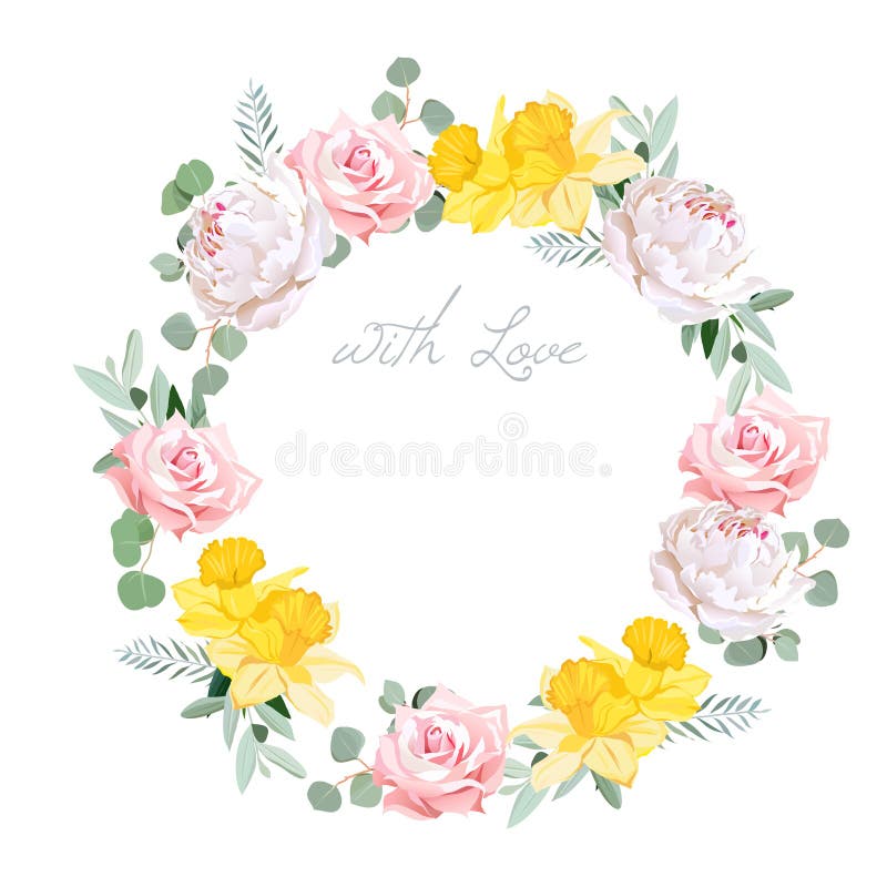 Daffodil alb roz roz, de primăvară delicat, și eucalipt frunze cadru vectorial rotund royalty free illustration