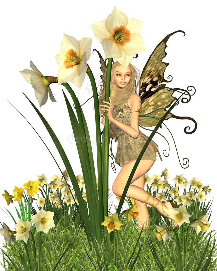 Daffodil Fairy 2 stock illustration. Illustration of leaning 8462375