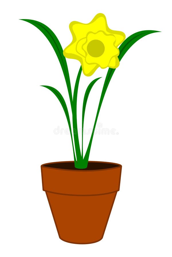 An Illustration Showing Parts of a Daffodil Plant. Stock Vector