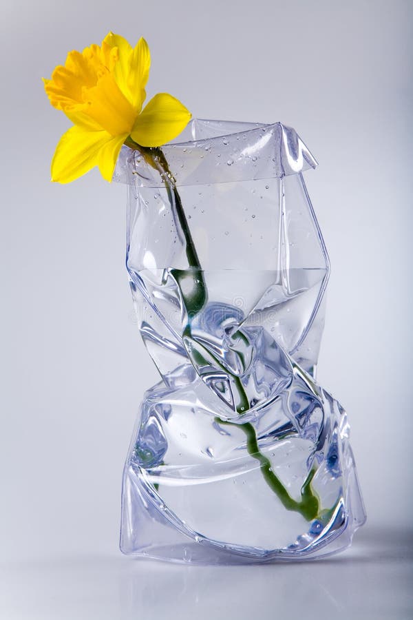 Daffodils in a vase stock image. Image of gardens, daffodil 613737