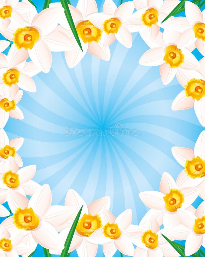 Daffodils on blue background. royalty free illustration