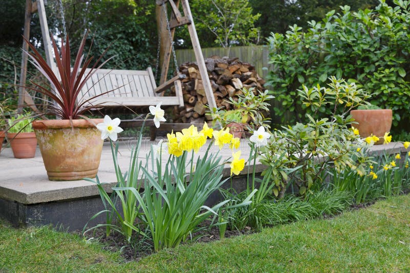 Flower Bed of Daffodils stock photo. Image of leaf, tall 2240118
