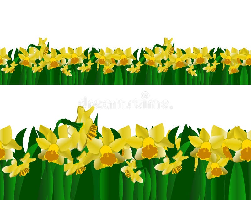 Daffodils Border Stock Illustrations – 399 Daffodils Border Stock ...