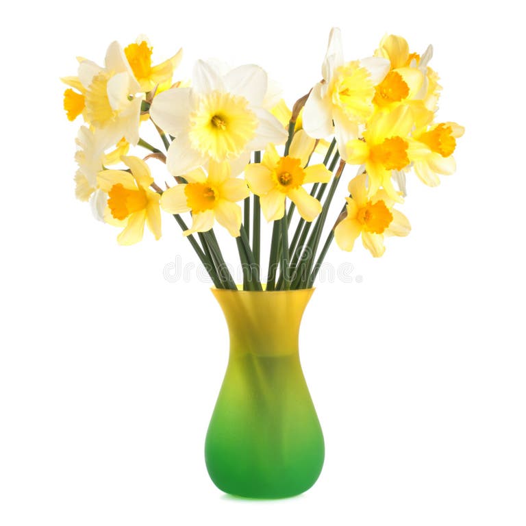 5,092 Daffodils Vase Stock Photos Free & RoyaltyFree Stock Photos