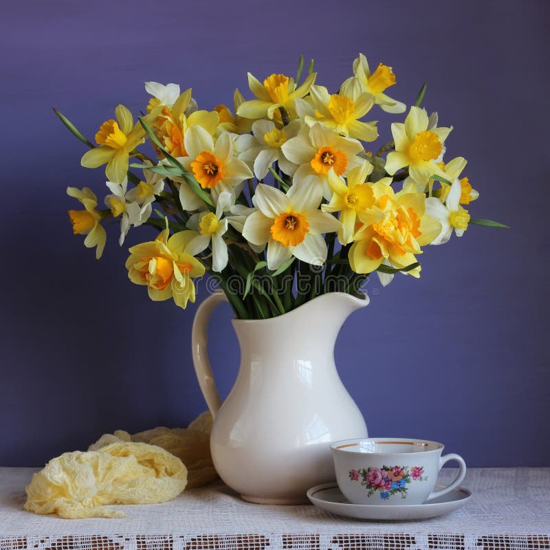 Daffodils in a White Jug and a Retro Cup on the Table Stock Image