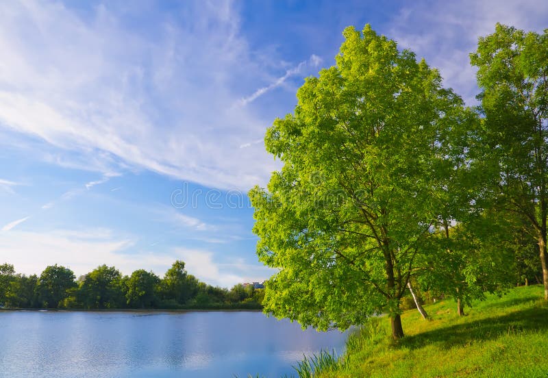 Last summer Day - Trees Near Clear Blue Lake. Last summer Day - Trees Near Clear Blue Lake