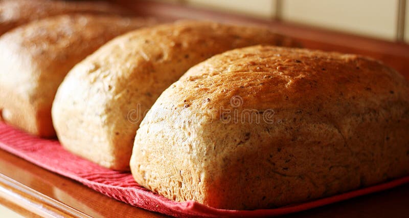 Dagelijks brood