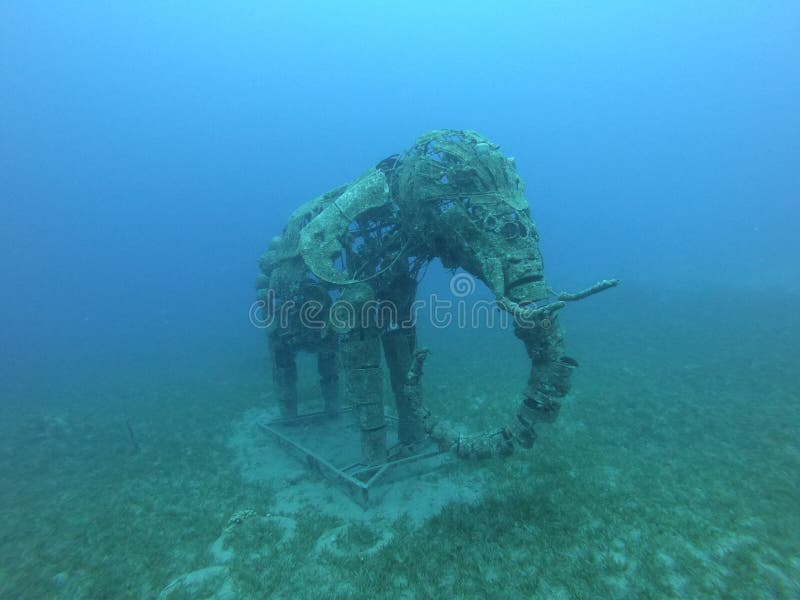 Dahab Elephant Statue Underwater Stock Image Image of statue, coral
