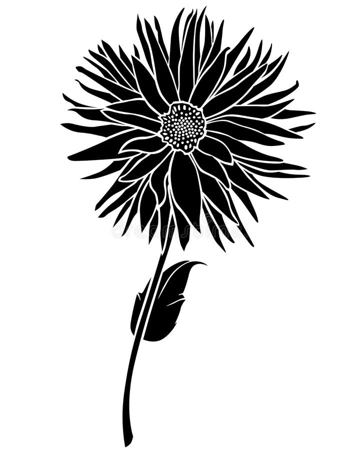 black and white dahlia clipart