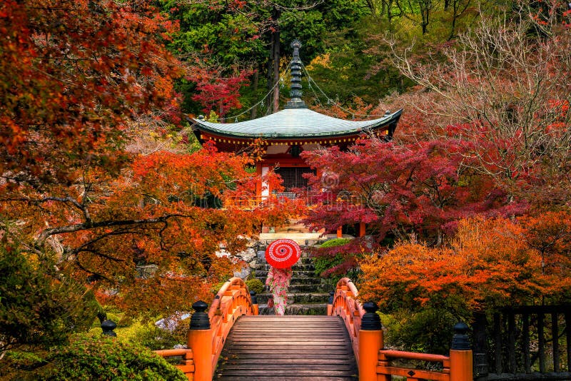 Daigo-ji tempel med färgrika lönnträd i höst, Kyoto arkivbilder Daigo-ji tempel med färgrika lönnträd i höst, Kyoto arkivbilder
