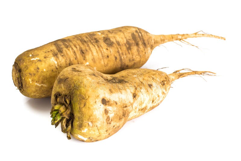 Daikon Popular Japanese Root Vegetable Stock Image Image of group