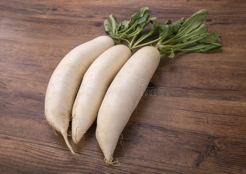 Daikon radishes stock photo. Image of produce, green 21373780