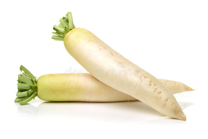 Daikon White Radish stock image. Image of salad, organic 103174159