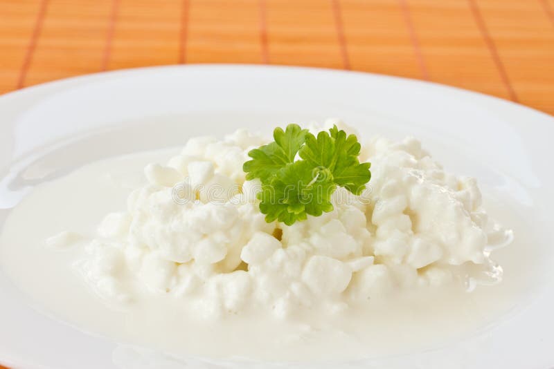 Dairy cottage cheese stock image. Image of color, dairy 23290625