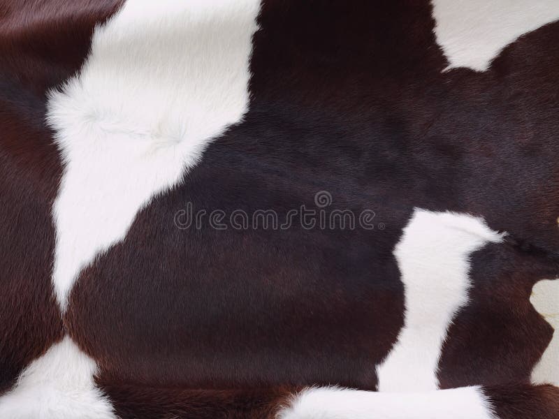 Dairy cow s skin stock image. Image of pattern, animal 25617277