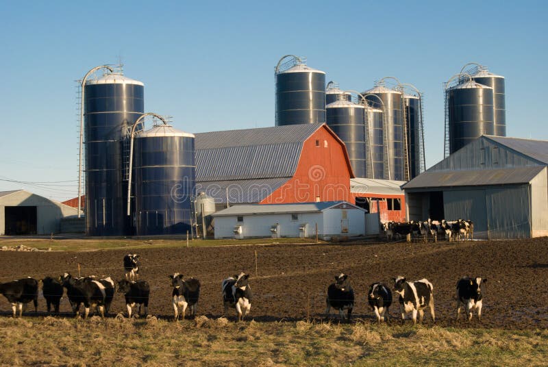 Dairy farm