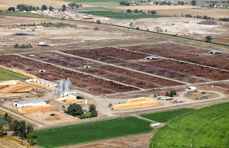 An Overhead View of a Manufacturing Facility. Stock Photo Image of