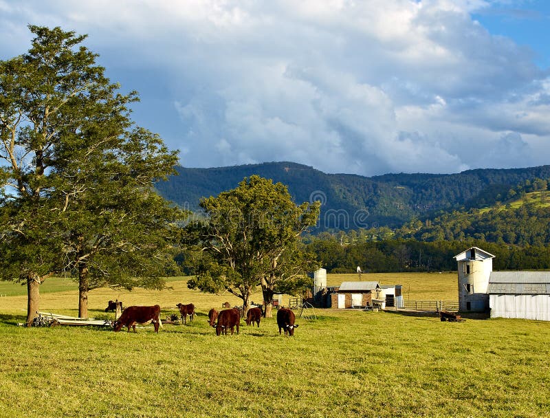 Dairy farm in countryside stock image. Image of rural 14553909